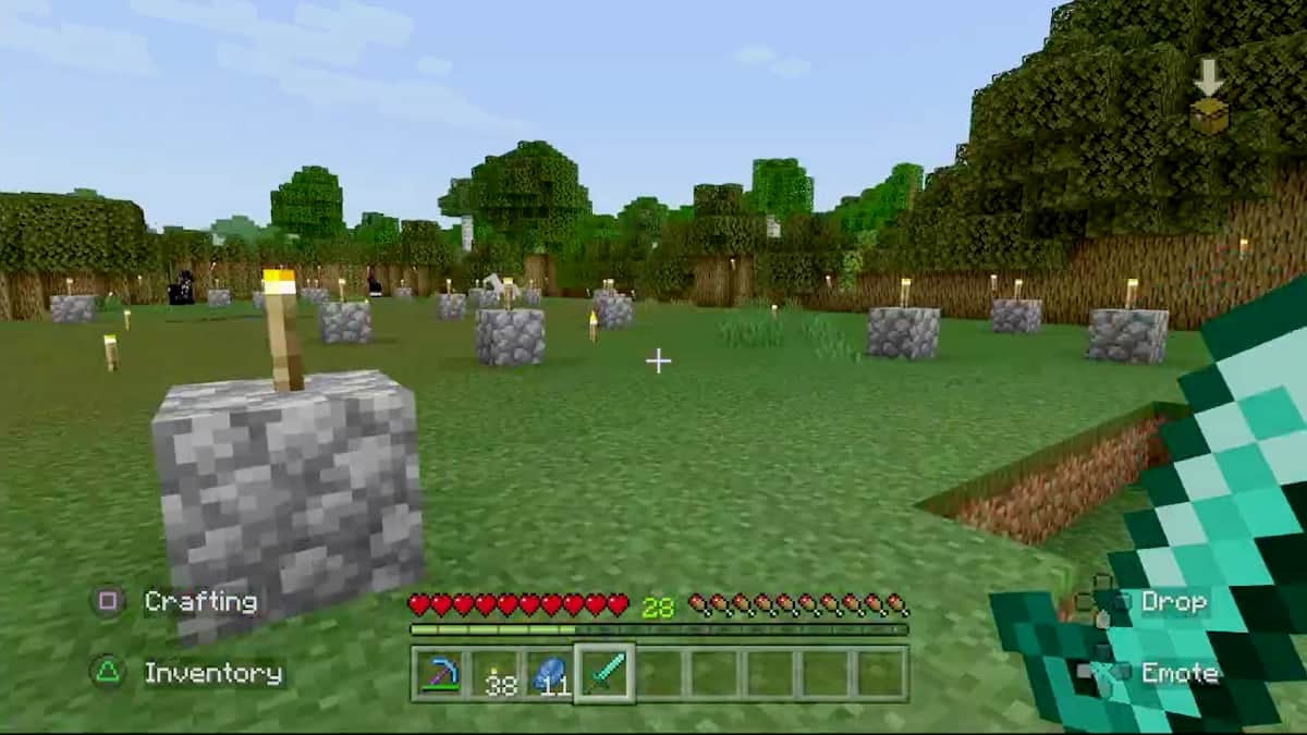 A player holding a diamond sword in first-person view while walking in a field.