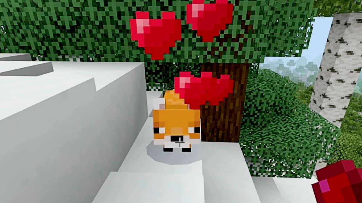 A player feeding a fox some Sweet Berries, which causes red hearts to appear over the fox's head.