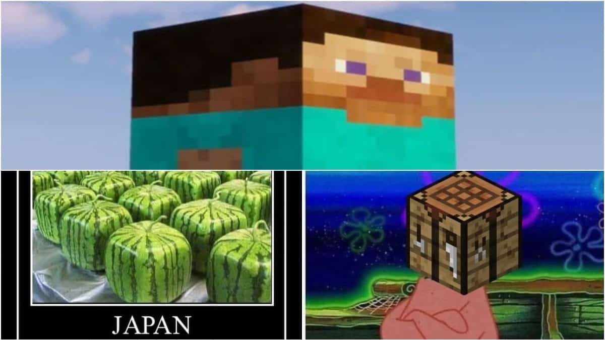 Top image is a stretched out Steve skin, the bottom-left image are cube watermelons from Japan, and the bottom-right image is Patrick from Spongebob Squarepants with a Crafting Table for a head.