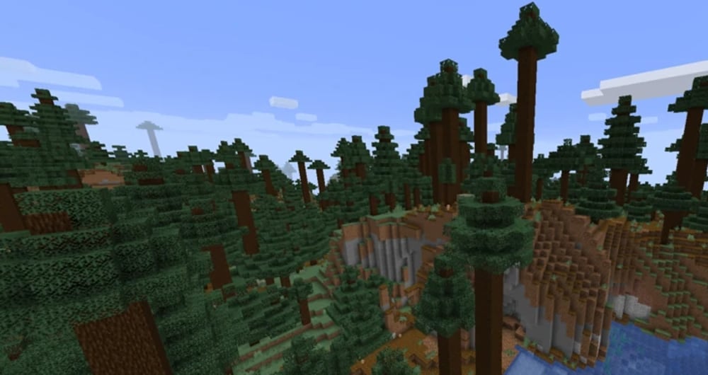 A taiga biome that has very tall and thick trees.