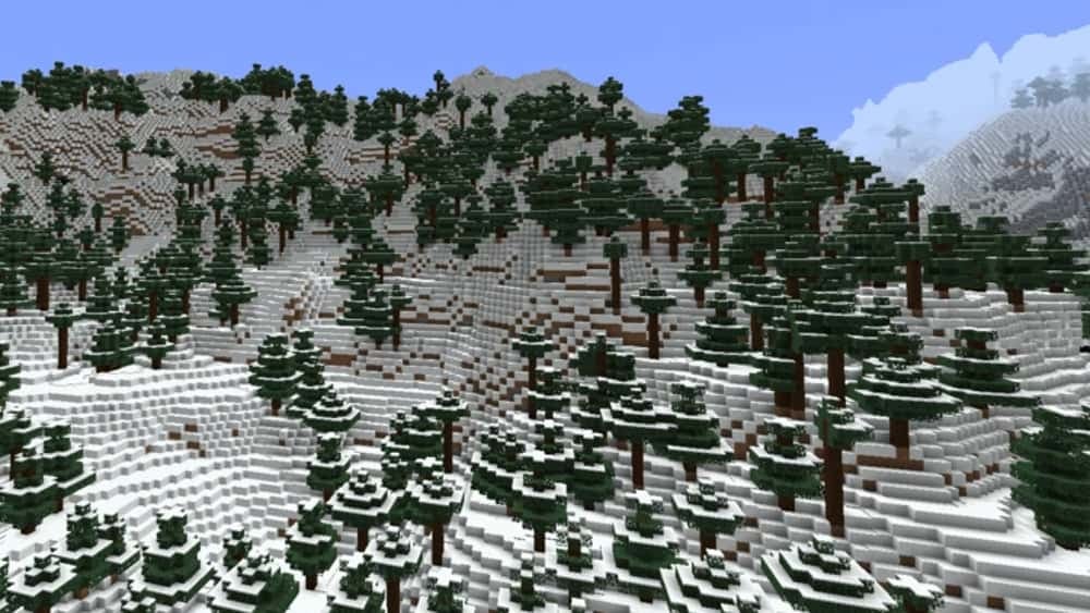 A snowy mountain range covered in spruce trees.