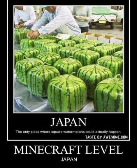 An image of cubic watermelons being packaged in Japan with text below stating that Japan and Minecraft are linked.