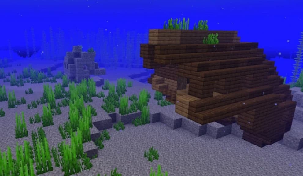 Underwater view of some structures in a regular ocean biome.