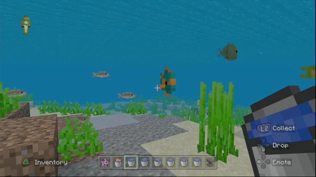 The player looking at an Orange-Teal Betty while swimming underwater.