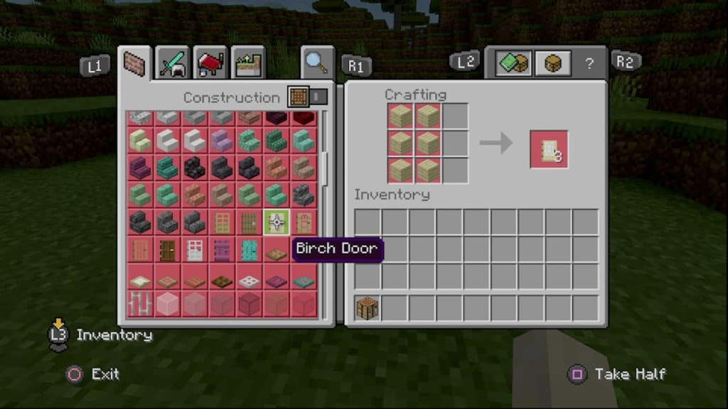 Making Birch Door on a Crafting Table with 6 Birch Wood Blocks.