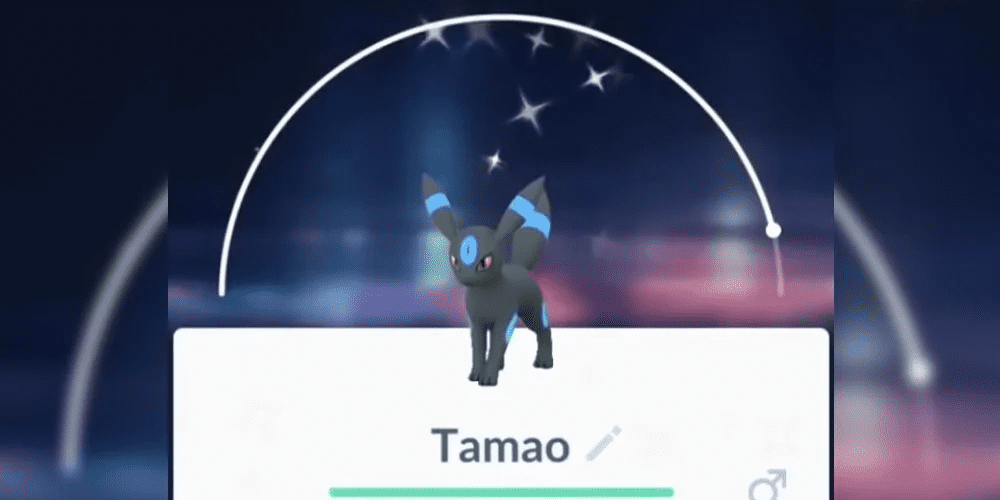Shiny Umbreon with nickname "Tamao" in Pokémon GO.