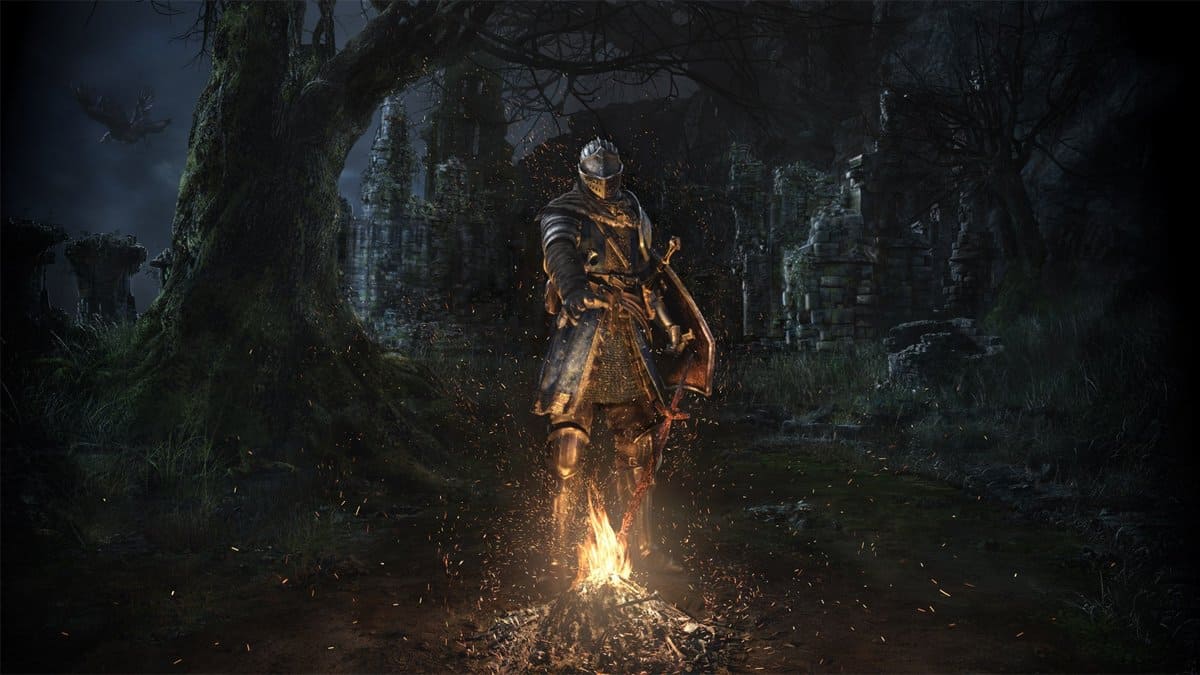 Dark Souls Man in front of bonfire