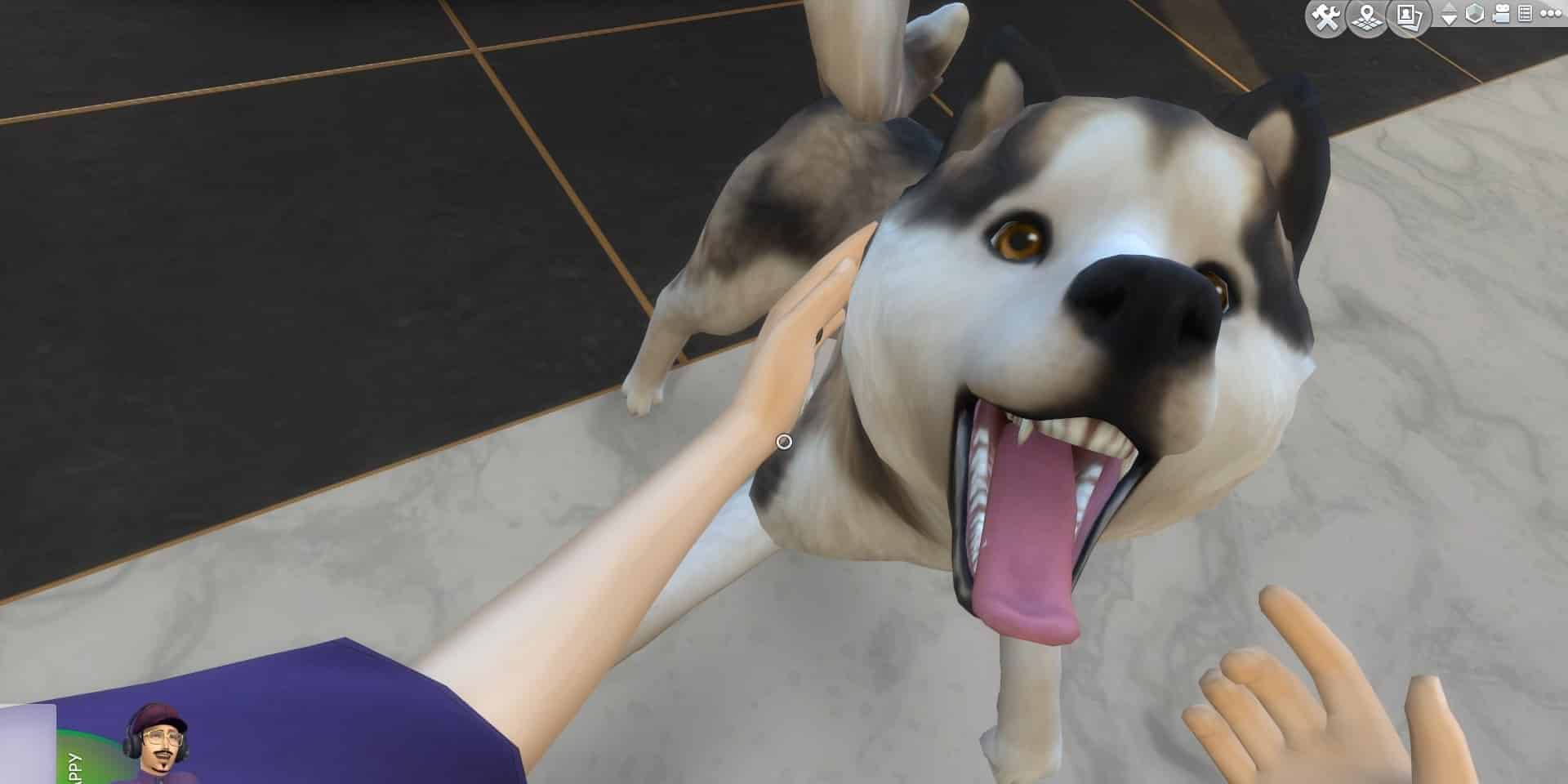 A Sim pets a dog in first-person gameplay in The Sims 4.