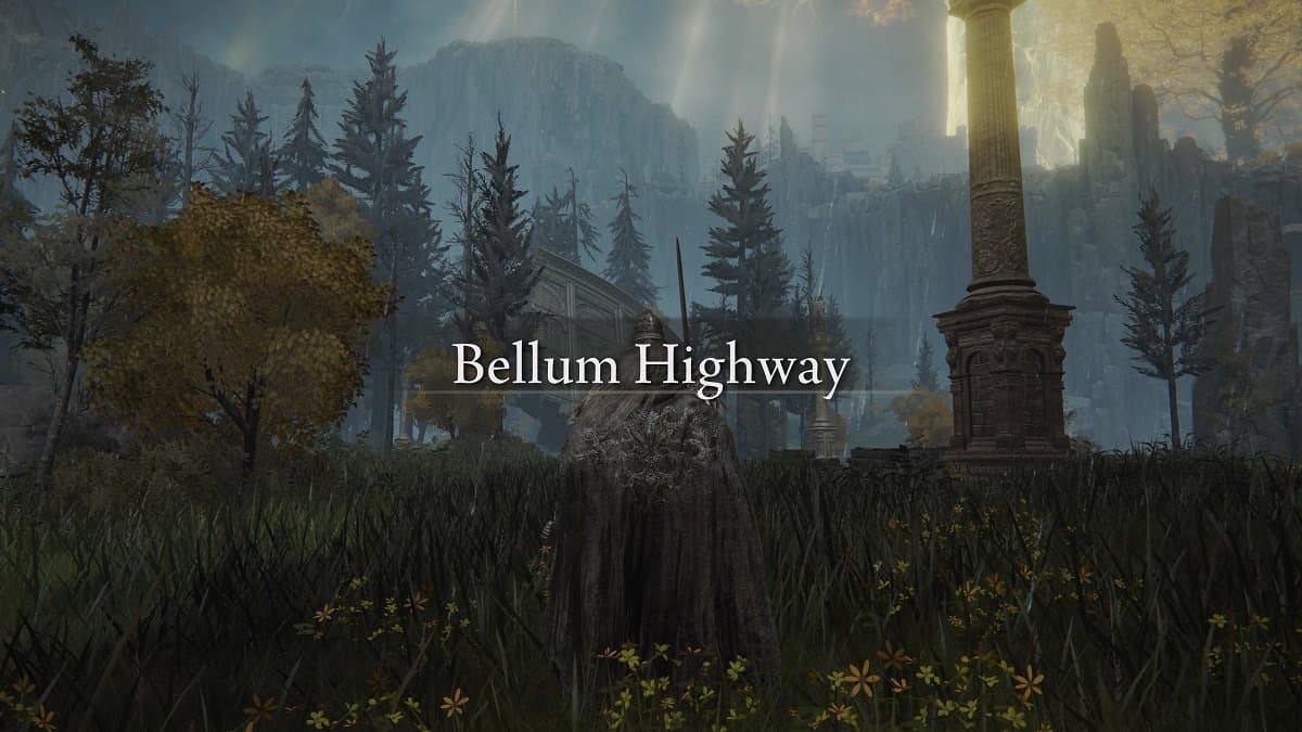 The Tarnished at Bellum Highway in Elden Ring.