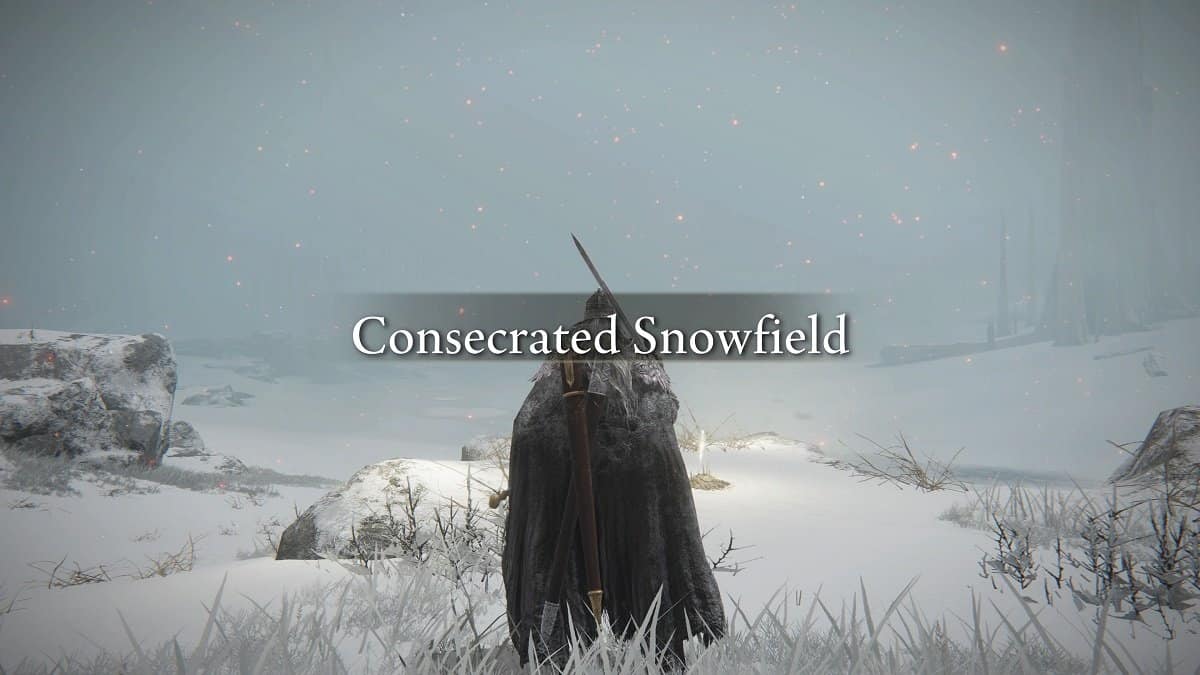 The Tarnished at the Consecrated Snowfield in Elden Ring.