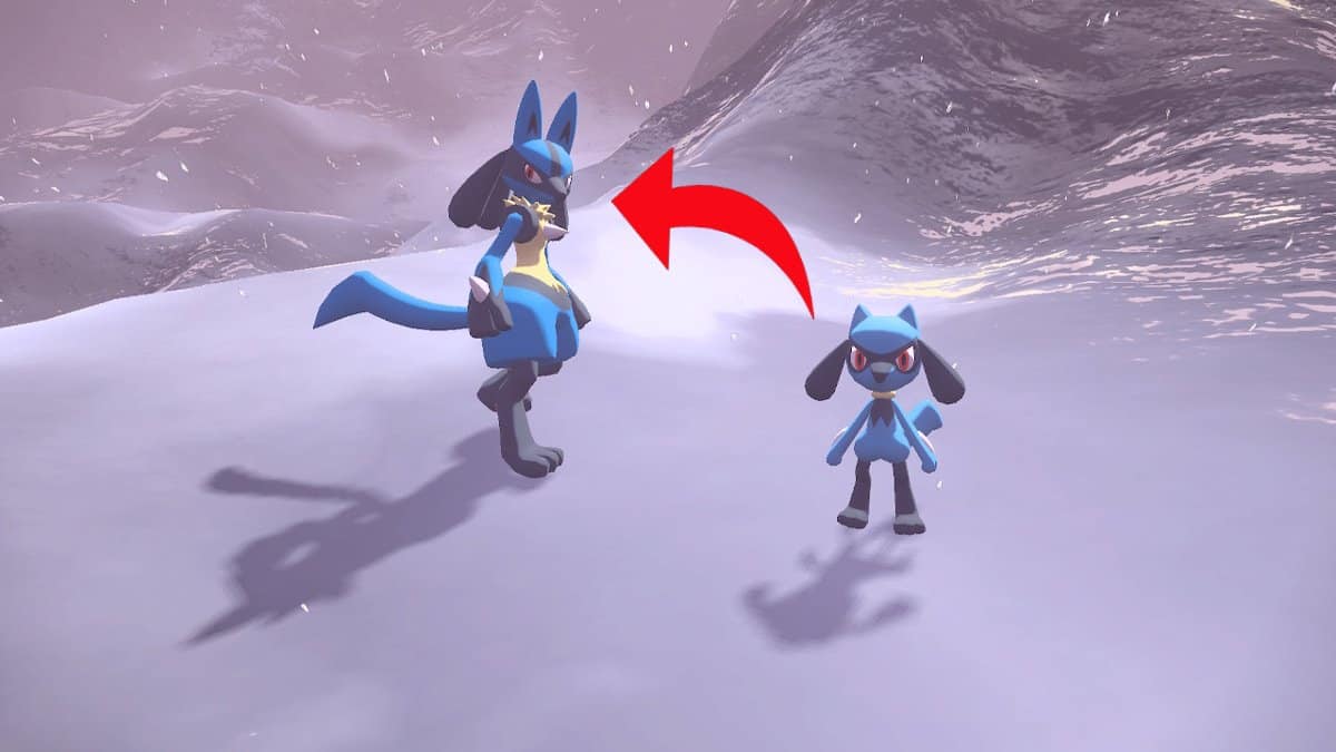 A Riolu and Lucario standing next to each other with a red arrow pointing from Riolu to Lucario. They are in a snowy area.