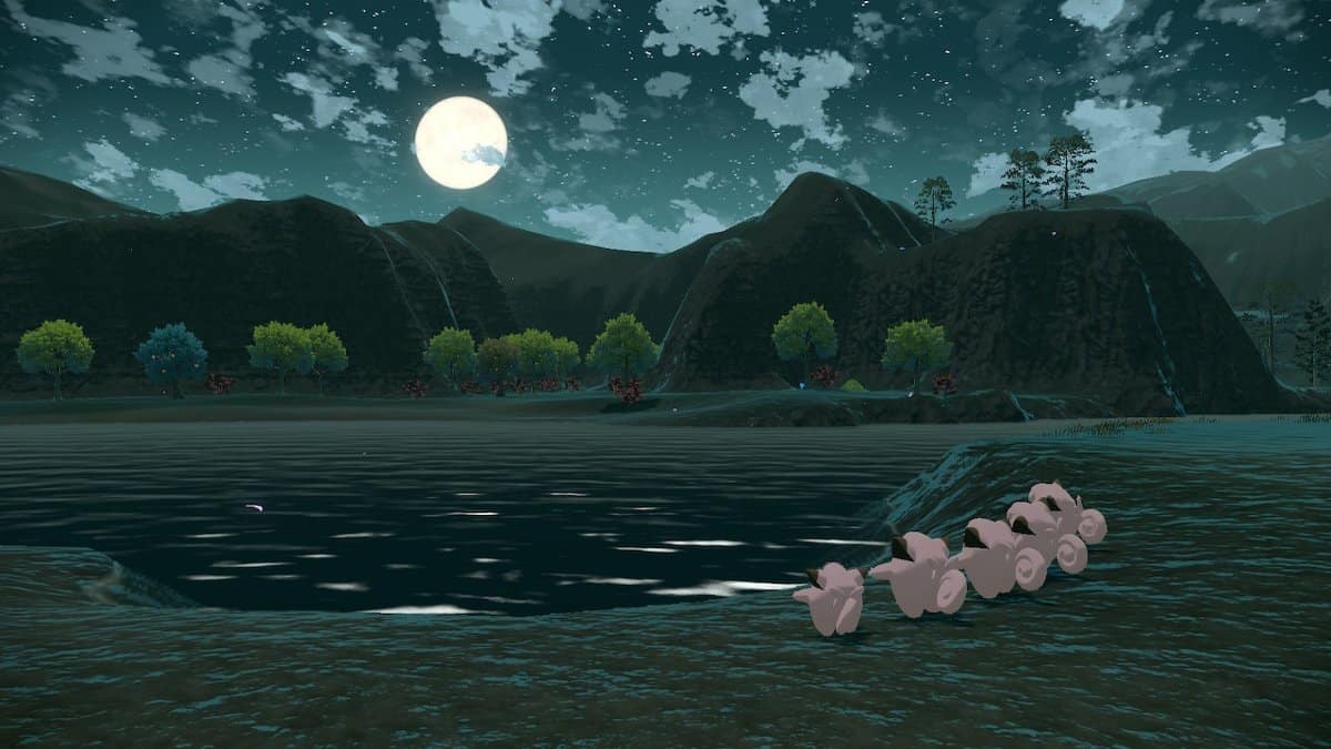 A group of Clefairy staring up at the full moon.