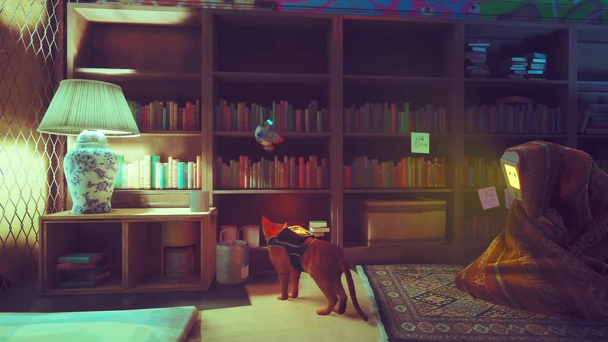 The Stray cat in a library.