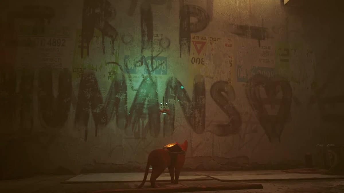 The Stray cat facing a graffiti that says "R.I.P. Humans."