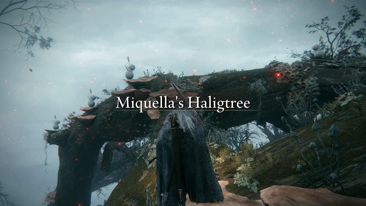 The Tarnished at Miquella's Haligtree.