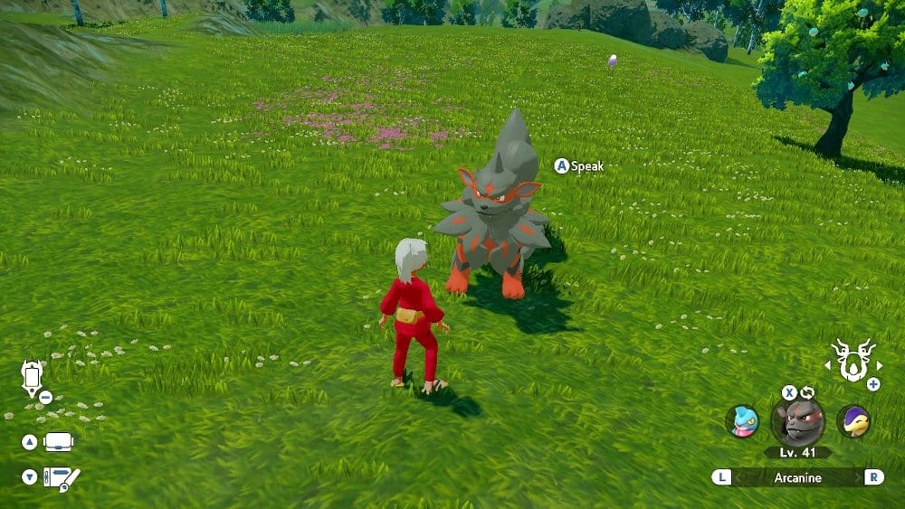 A player and a Hisuian Arcanine in a grassy field.