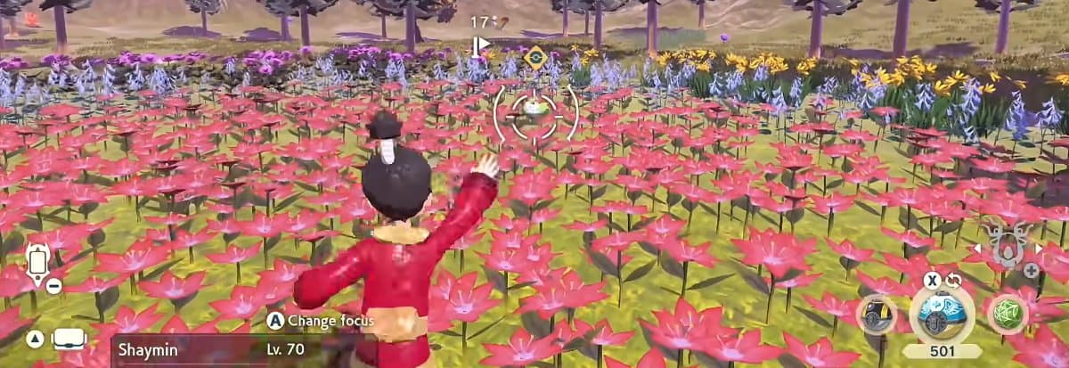 A player trying to catch Shaymin in a field of bright flowers.