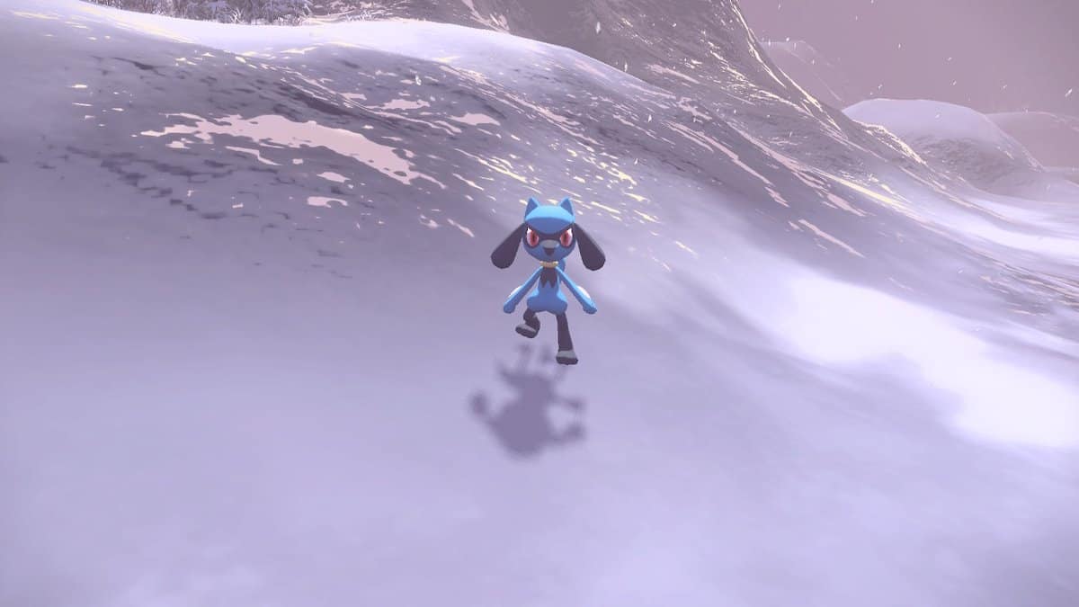 A Riolu standing in the snow.