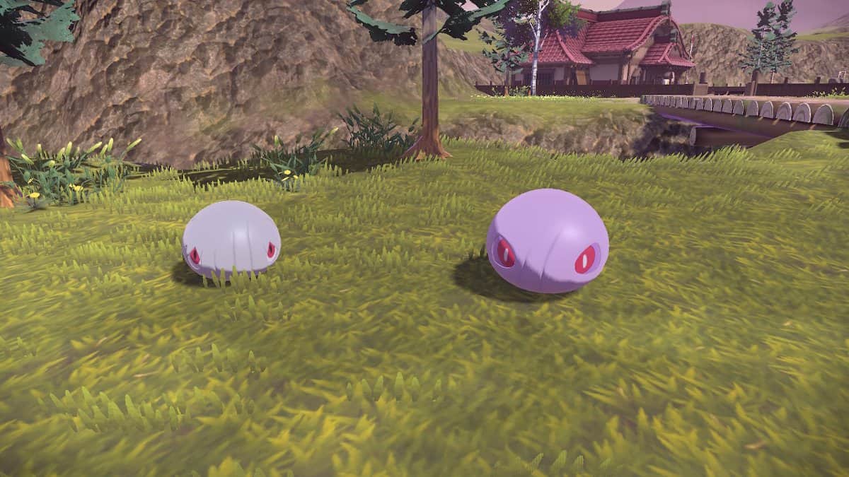 A Silcoon and Cascoon lying on some grass.