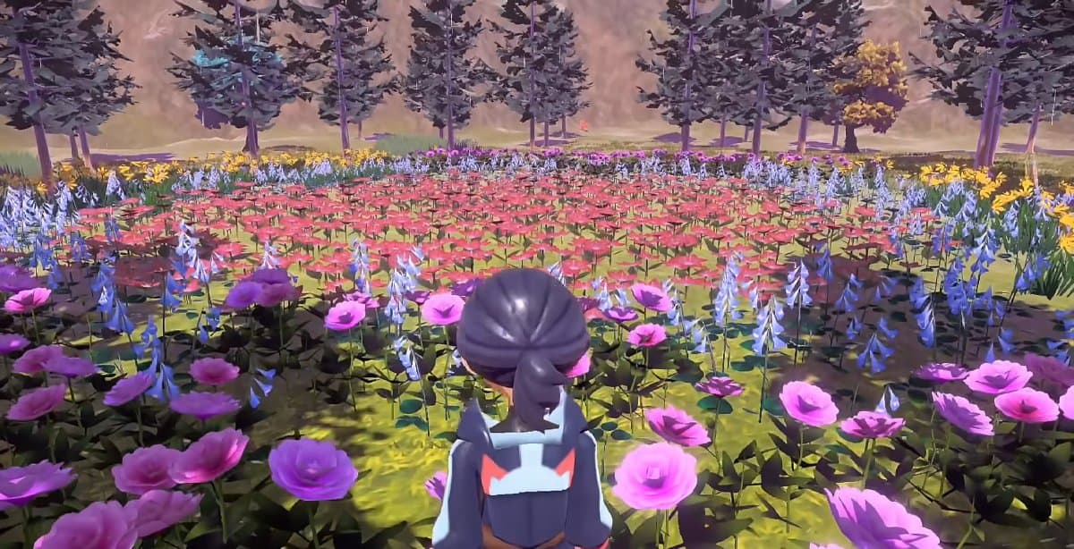 A patch of brightly colored flowers being looked at by an NPC named Medi.