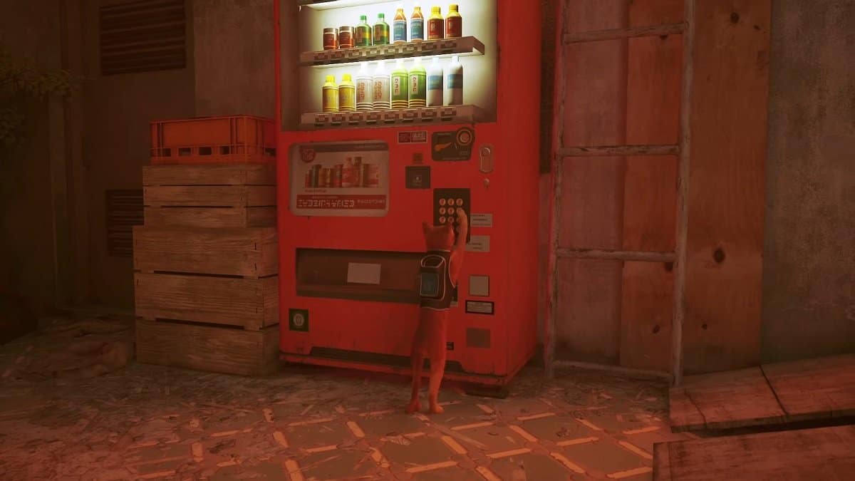 The Stray cat activating an orange vending machine.