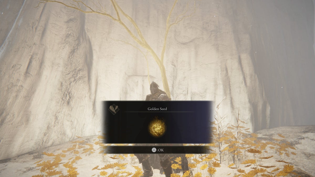 Tarnished getting a Golden Seed from an Erdtree Branch in Elden Ring