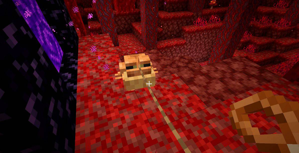 An orange Frog on a Lead that has been brought through a Nether Portal into the Nether.