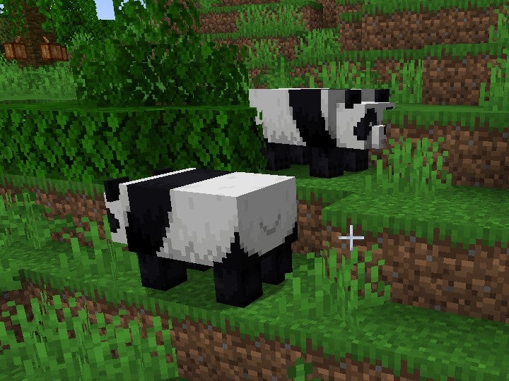 Pandas in Minecraft.