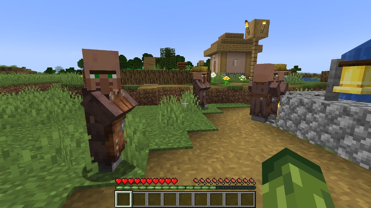 Multiple types of Villagers in a Village.