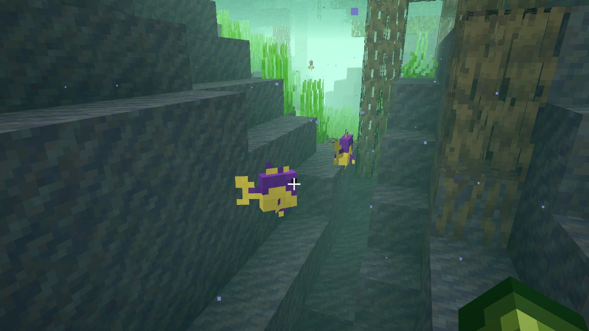 Purple and yellow fish swimming in murky green water.