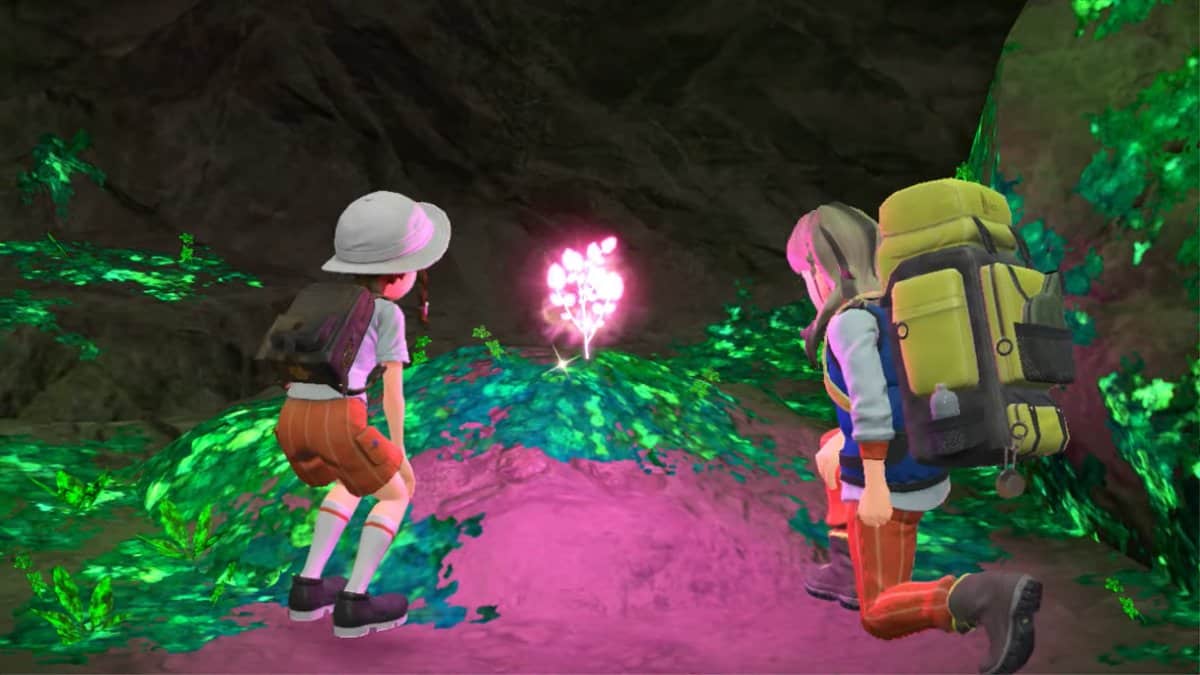 Two players (or a player and an NPC) looking at a shining pink flower in the Pokémon Scarlet ad Violet trailer.