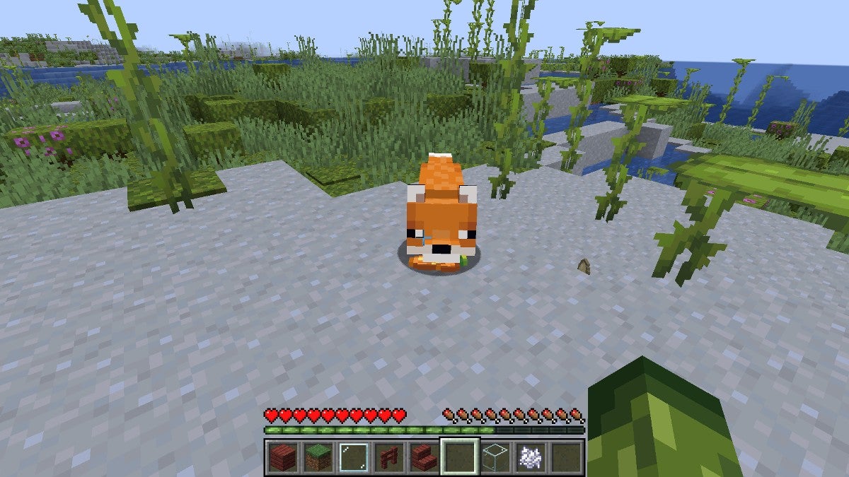 A Fox looking at the player while holding a Glow Berry in its mouth.