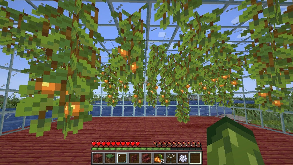 A greenhouse made to grow Glow Berries.