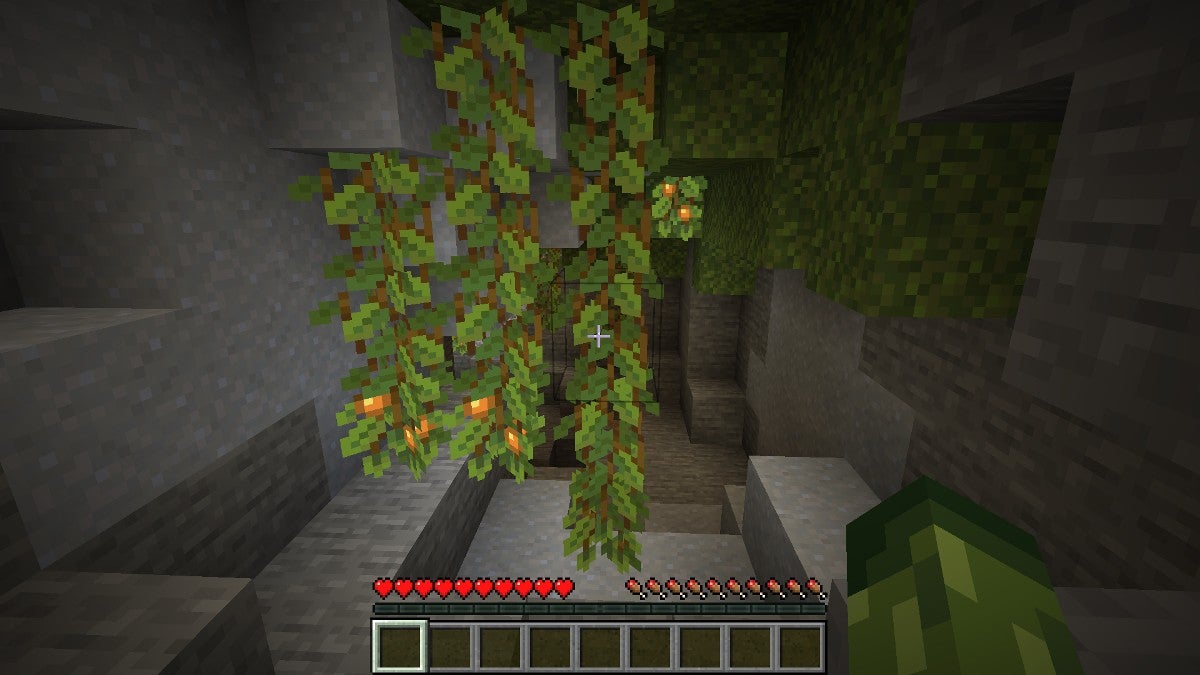A Lush Cave biome with hanging Glow Berry Vines.