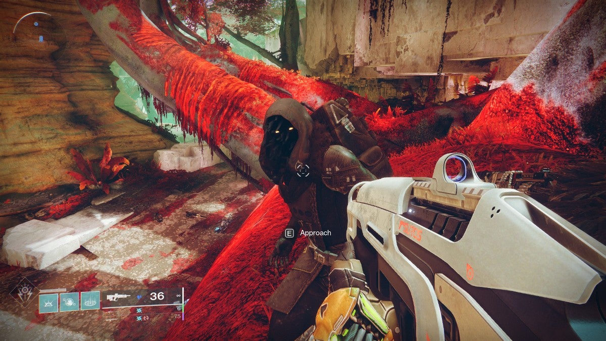 Player staring at Xur while standing on a tree covered in red leaves and moss.