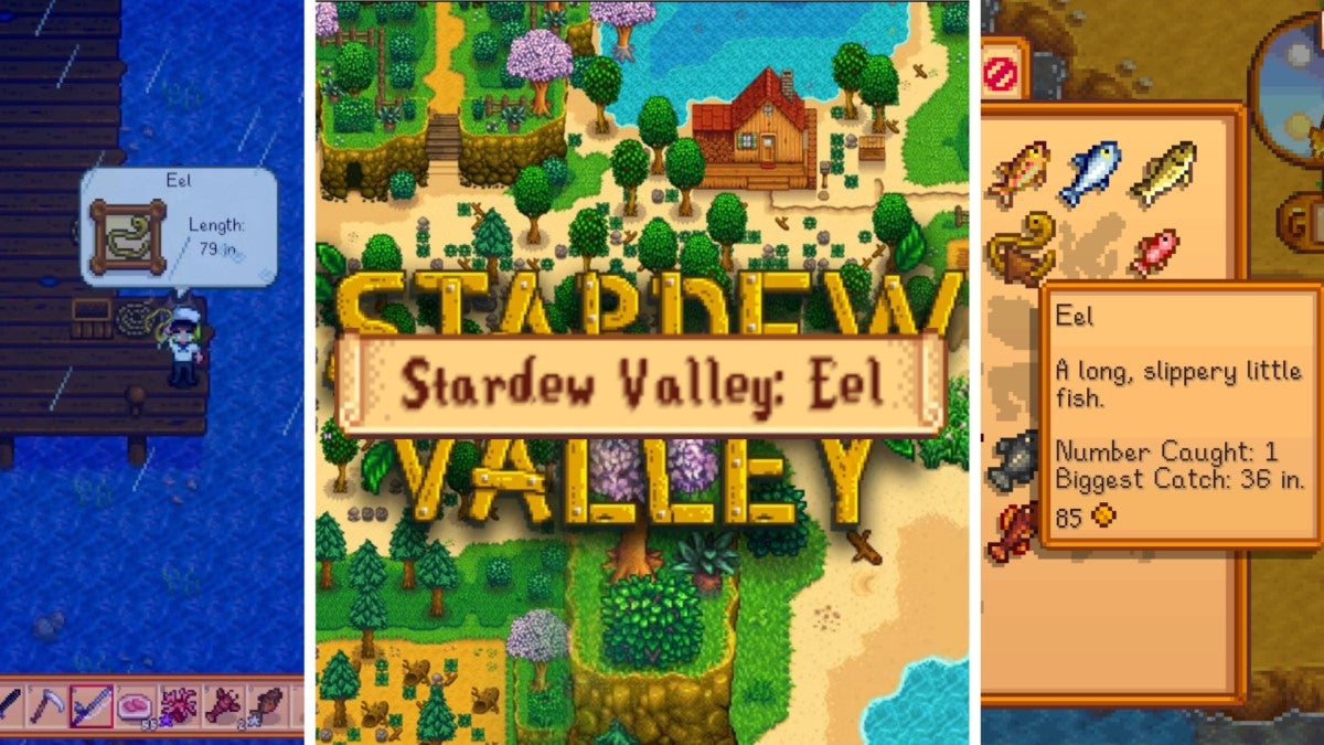 Stardew Valley: Complete Eel Guide