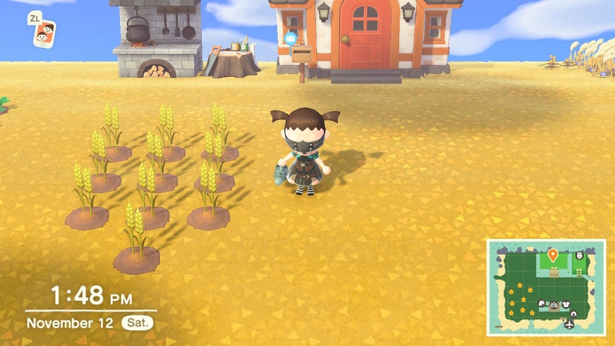 How to Get Wheat in Animal Crossing: New Horizons