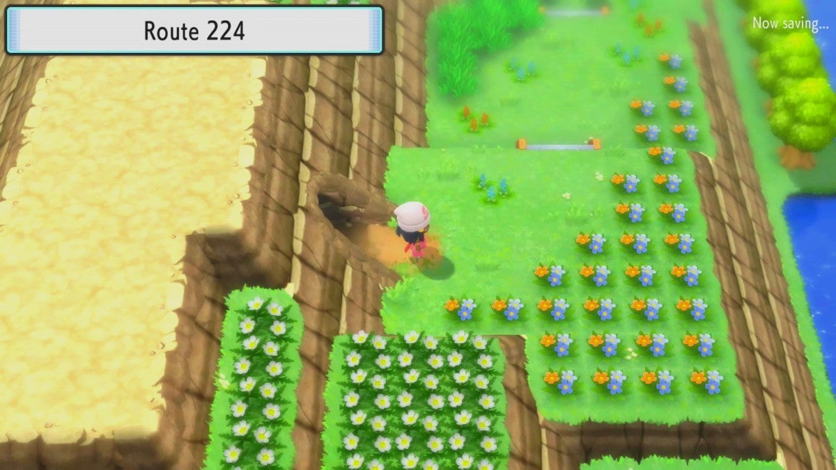 A player exiting Victory Road and entering Route 224. There are flowers and grass everywhere.