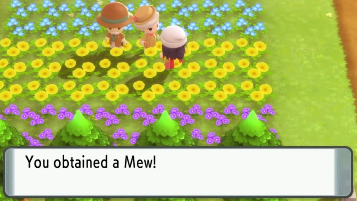 Player getting Mew from the madame in Floaroma town.