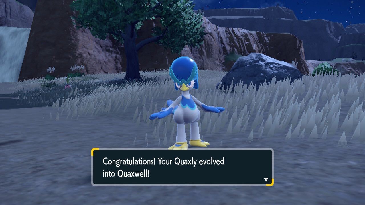 Quaxwell in Pokemon Scarlet and Violet.