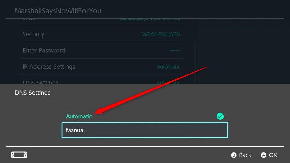 Select the Automatic DNS option.