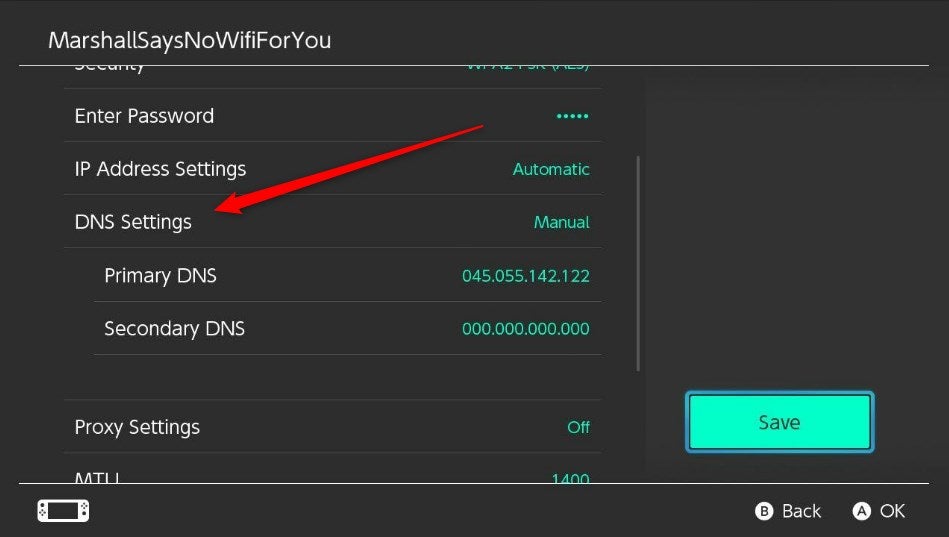 The DNS options.