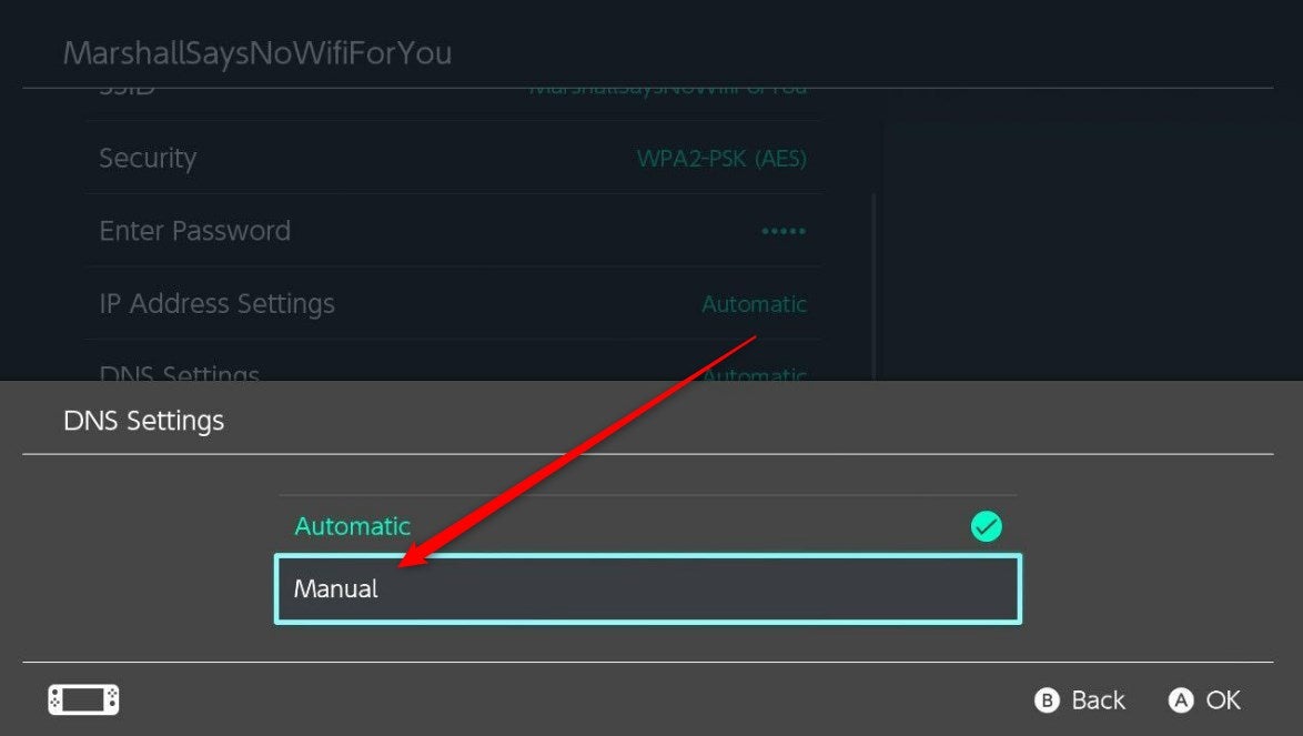 The DNS's automatic and manual options.