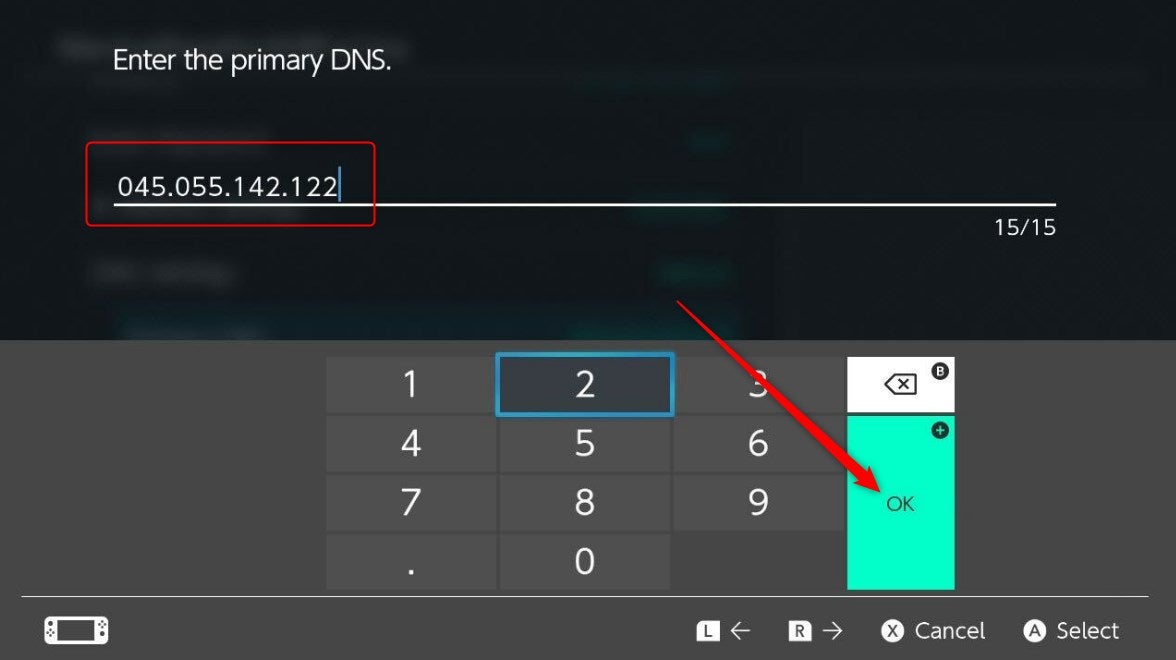 The Primary DNS input screen.