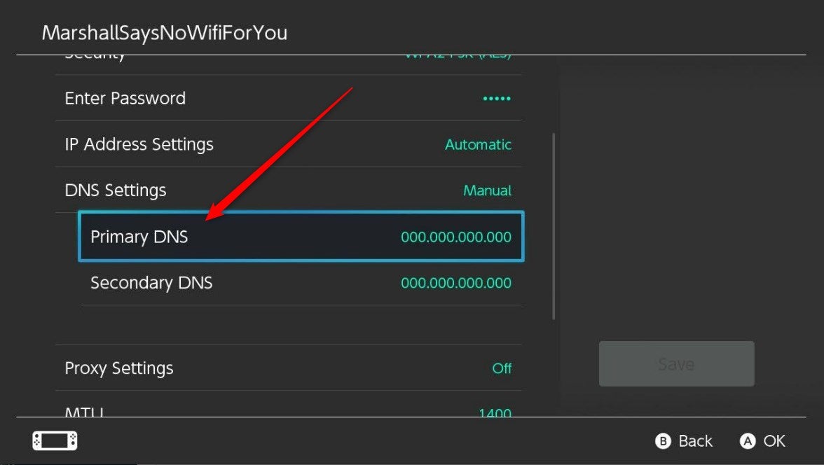 The Primary DNS option.