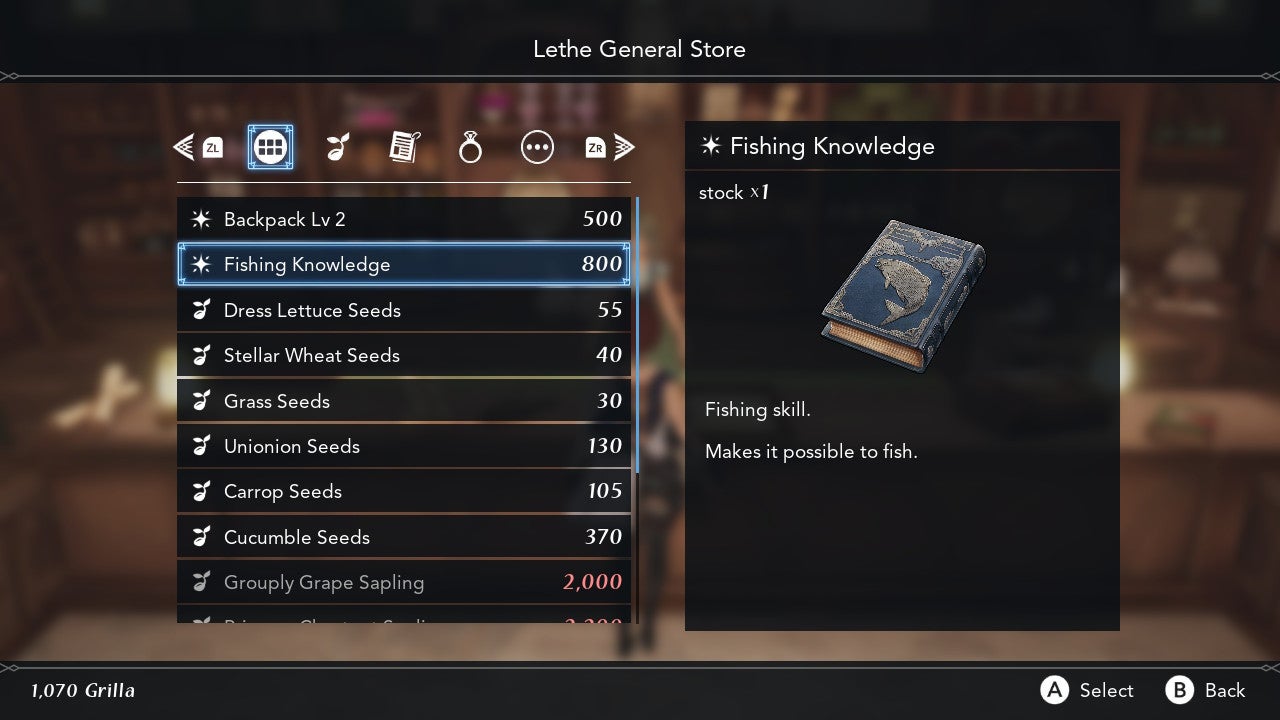 Fishing Knowledge book in Lethe's General Store.