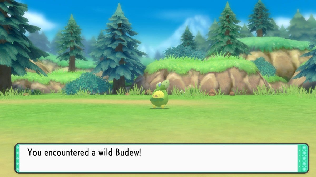 A player encountering a wild Budew in Pokémon Brilliant Diamond.