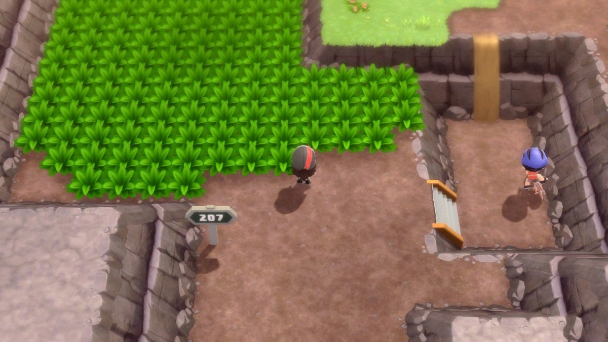 A player on Route 207.
