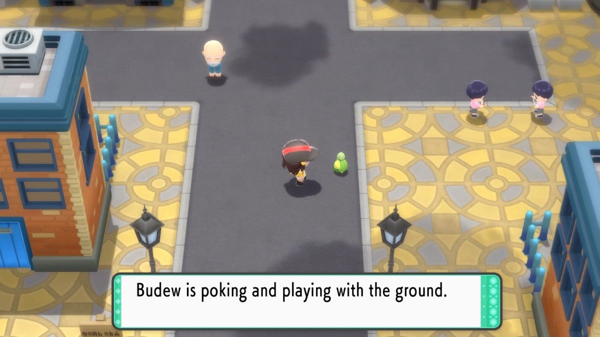 A trainer talking to their Budew while they are walking together in Jubilife City in Pokémon Brilliant Diamond.