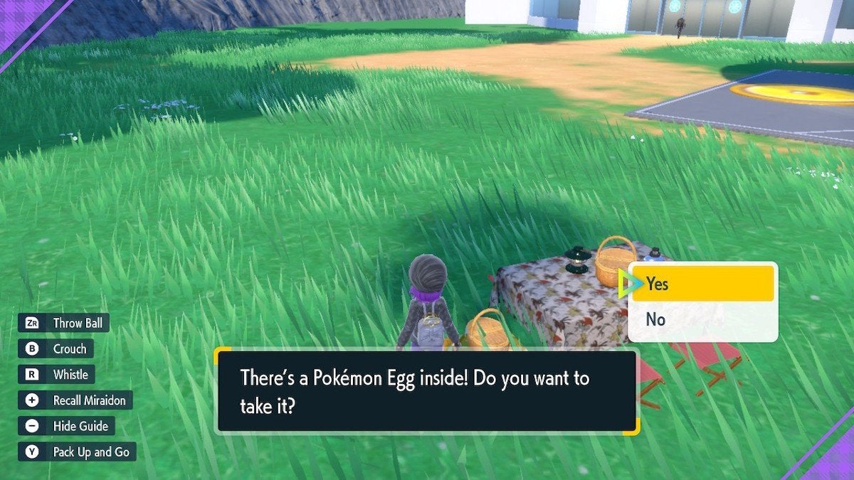 A player finding an egg in a picnic basket.